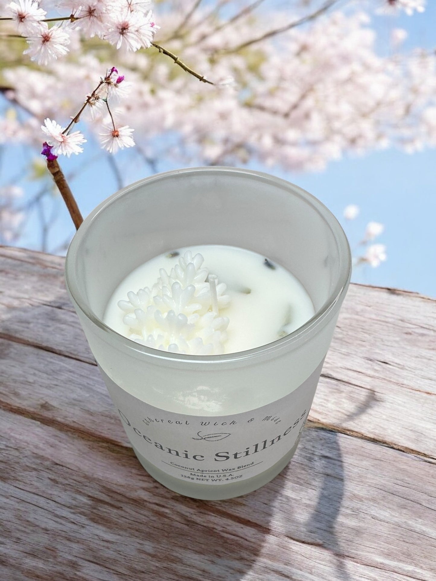 Oceanic Stillness Coconut Apricot Candle (S)