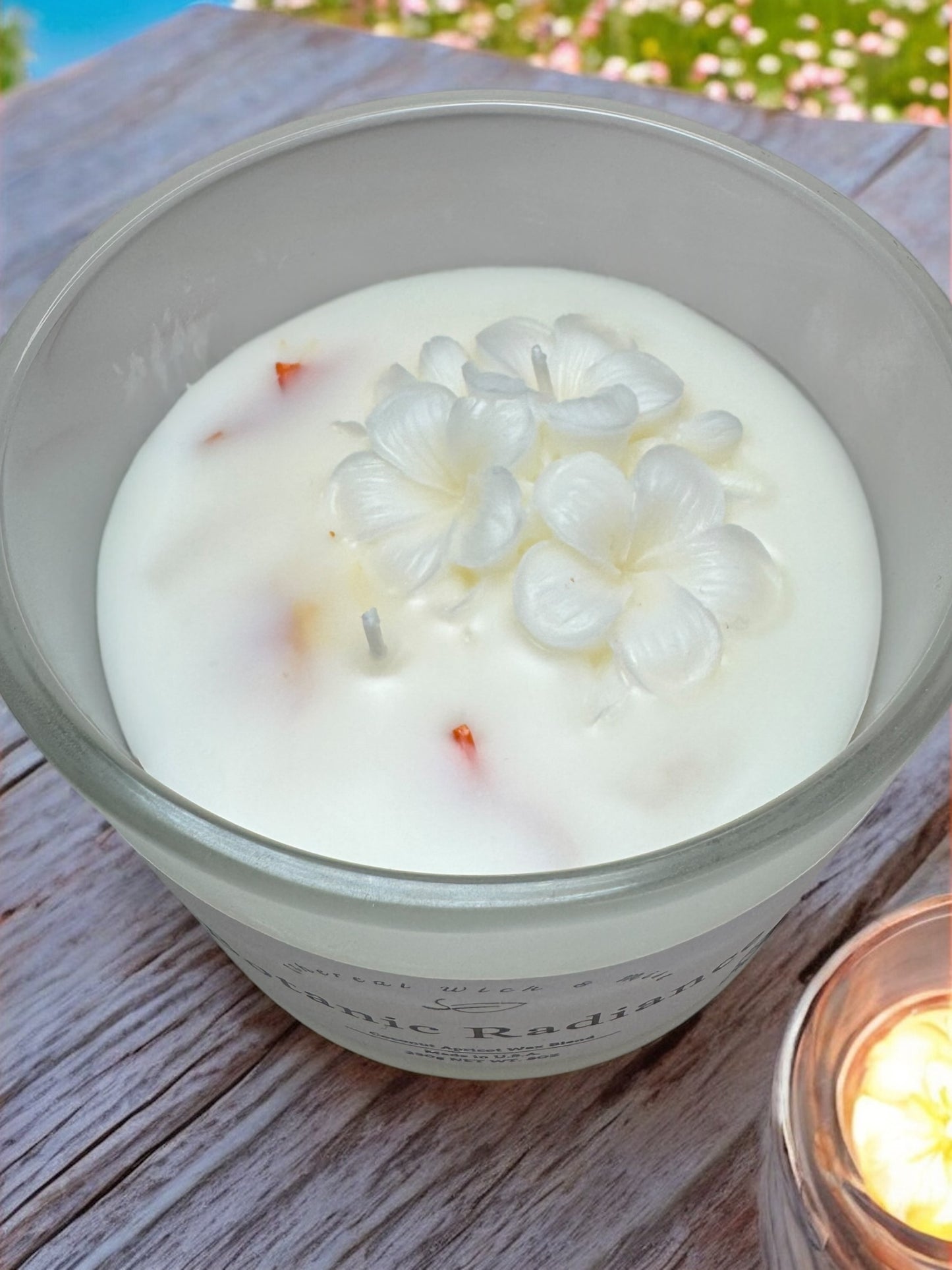 Botanic Radiance Coconut Apricot Candle (L)