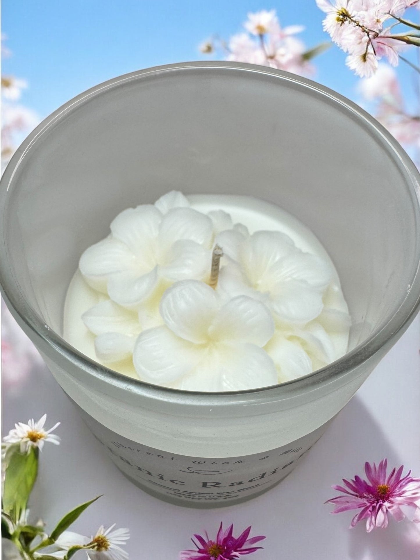 Botanic Radiance Coconut Apricot Candle (S)