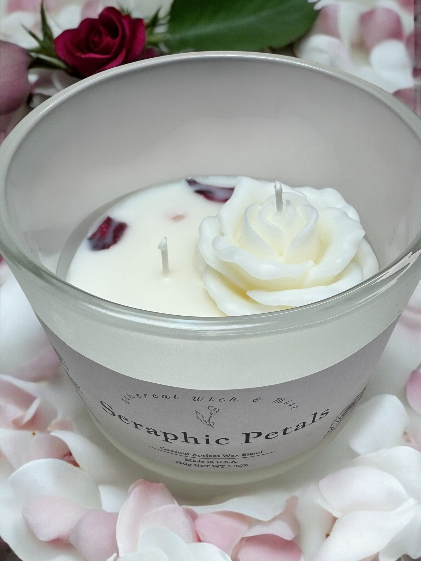 Seraphic Petals Coconut Apricot Candle (L)